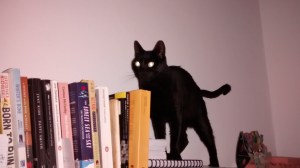 IMG_20140215_194542911