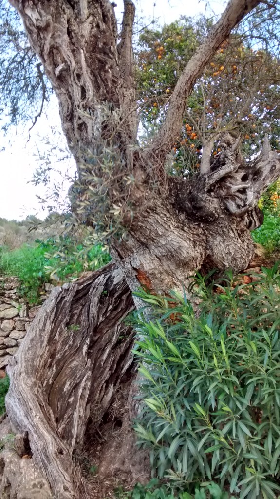 IMG_20150130_172200481_HDR