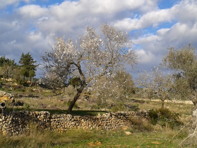 Sant Mateu valley, Ibiza