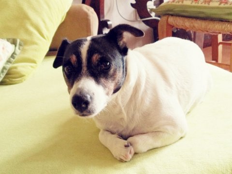 1-IMG_20160425_134335